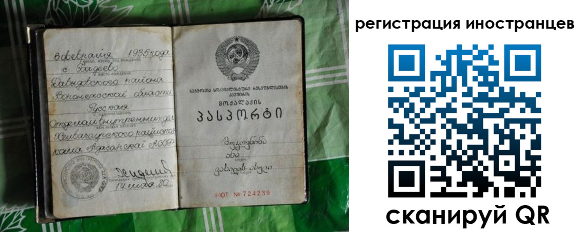 где прописаться в Тимашёвске